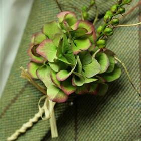 fwthumbRustic hydrangea.jpg